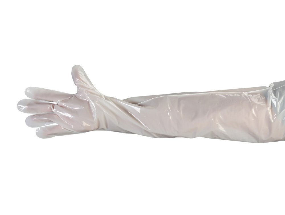 SHOULDER LENGTH POLY GLOVES (CASE) - New England Safety Supply