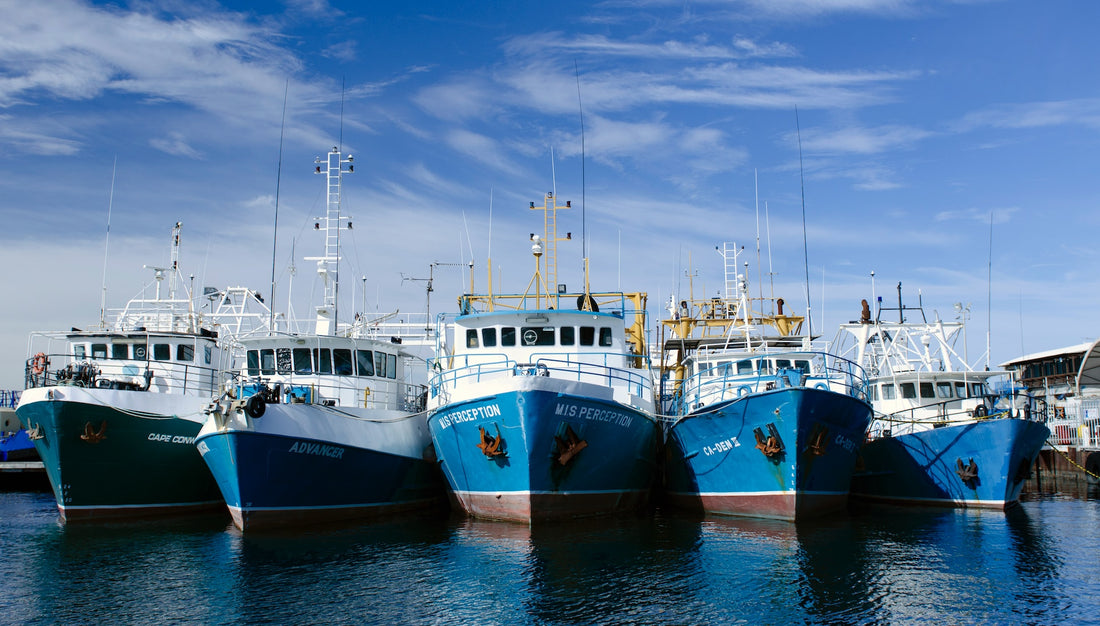 Stay Safe at Sea: Common Hazards on Fishing Vessels and How to Prevent Them